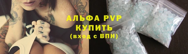 стафф Новозыбков