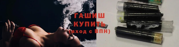 стафф Новозыбков