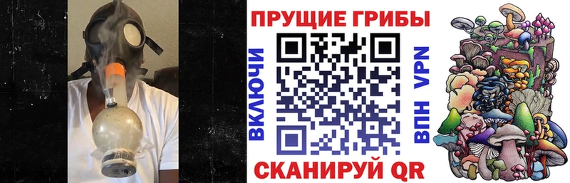 Галлюциногенные грибы ЛСД купить наркотики сайты Малаховка
